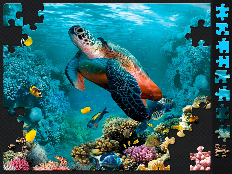 Jigsaw Puzzles for Adults - Gameplay image of android game