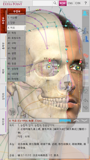 The Acupuncture of Extra Point Lite - Image screenshot of android app