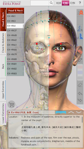 The Acupuncture of Extra Point Lite - Image screenshot of android app