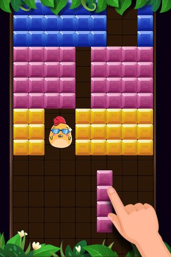 Block Puzzle: Puzzle Game - عکس برنامه موبایلی اندروید