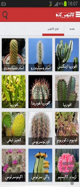 cactuskadeh - Image screenshot of android app