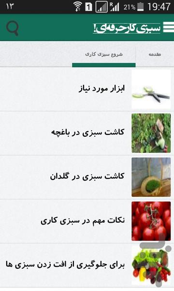 سبزی کار حرفه ای! - Image screenshot of android app
