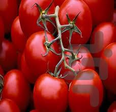 سبزی کار حرفه ای! - Image screenshot of android app