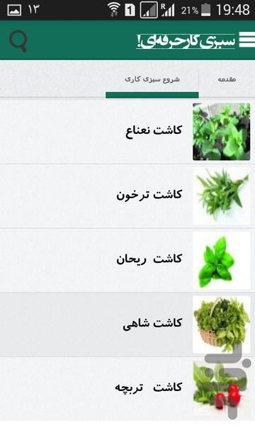 سبزی کار حرفه ای! - Image screenshot of android app