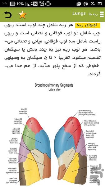 تنفس (آناتومی و فیزیولوژی) - عکس برنامه موبایلی اندروید