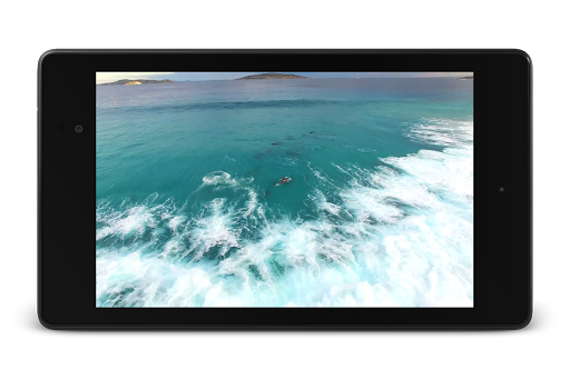 Dolphins Video Live Wallpaper - Image screenshot of android app