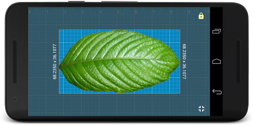 Millimeter - screen ruler app - عکس برنامه موبایلی اندروید