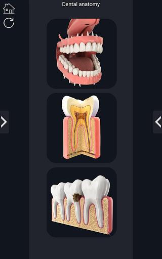 Dental  Anatomy - عکس برنامه موبایلی اندروید