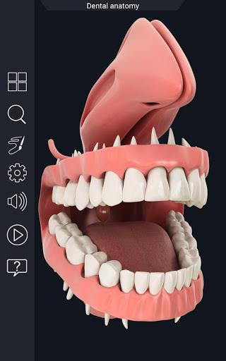 Dental  Anatomy - عکس برنامه موبایلی اندروید