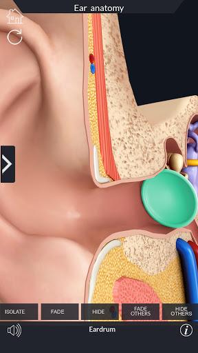 My Ear Anatomy - Image screenshot of android app