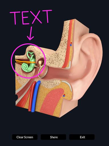 My Ear Anatomy - عکس برنامه موبایلی اندروید