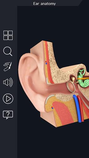 My Ear Anatomy - Image screenshot of android app