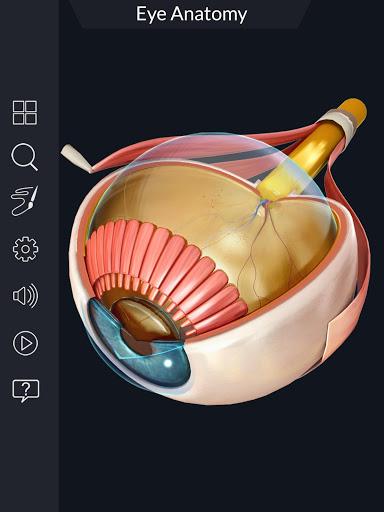 My Eye Anatomy - عکس برنامه موبایلی اندروید