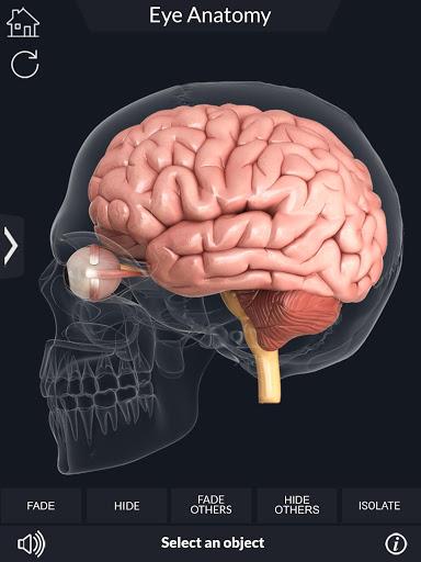 My Eye Anatomy - عکس برنامه موبایلی اندروید