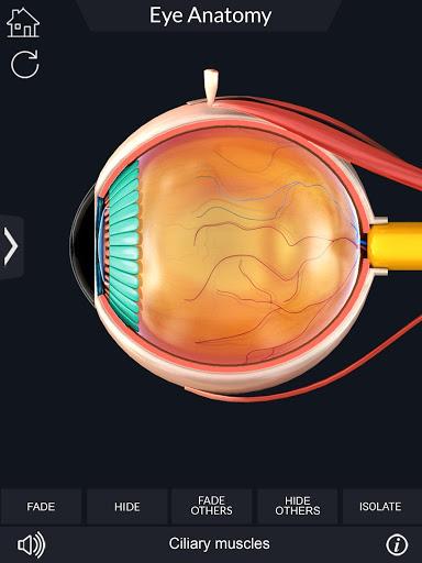 My Eye Anatomy - عکس برنامه موبایلی اندروید