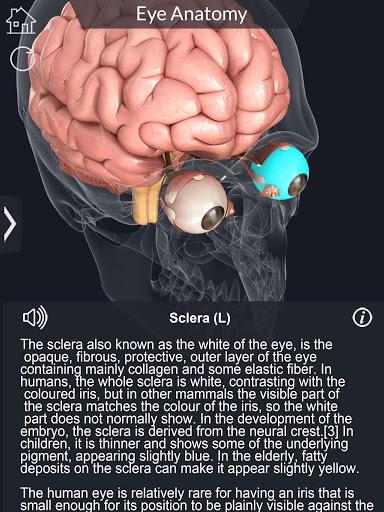My Eye Anatomy - عکس برنامه موبایلی اندروید
