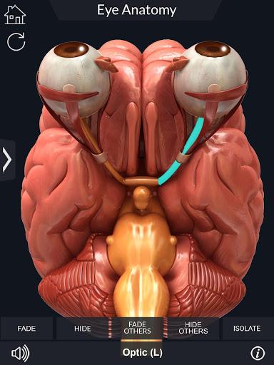 My Eye Anatomy - عکس برنامه موبایلی اندروید