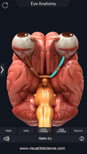 My Eye Anatomy - عکس برنامه موبایلی اندروید