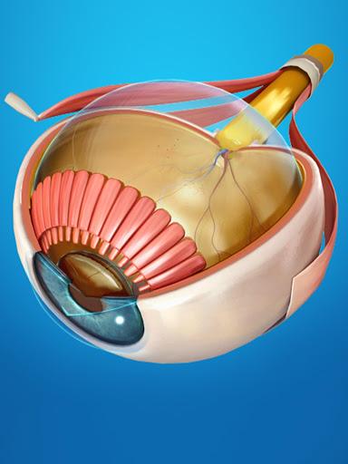 My Eye Anatomy - عکس برنامه موبایلی اندروید