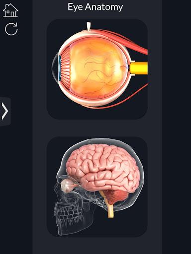 My Eye Anatomy - عکس برنامه موبایلی اندروید