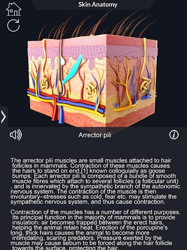 Skin Anatomy - عکس برنامه موبایلی اندروید