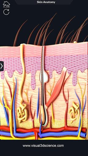 Skin Anatomy - عکس برنامه موبایلی اندروید