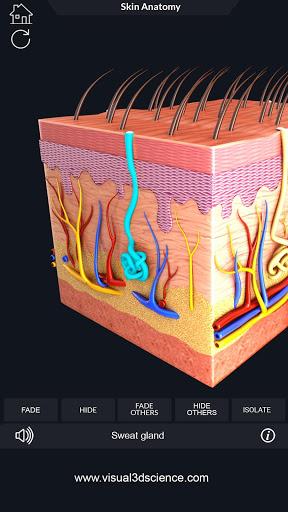 Skin Anatomy - عکس برنامه موبایلی اندروید