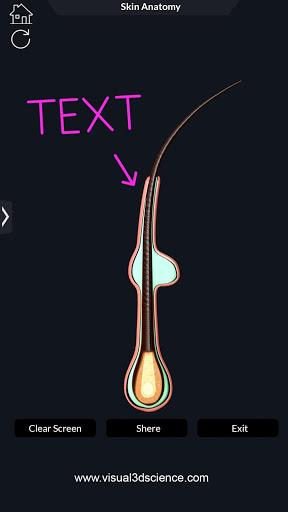 Skin Anatomy - عکس برنامه موبایلی اندروید
