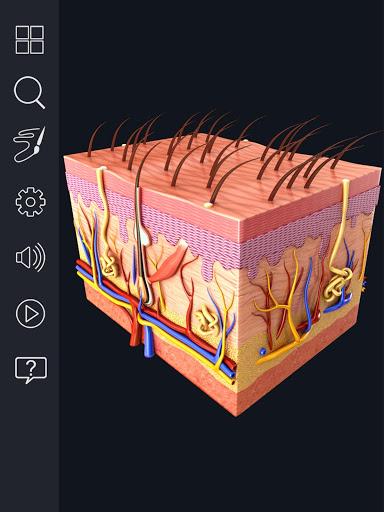 Skin Anatomy - عکس برنامه موبایلی اندروید