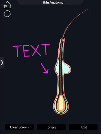 Skin Anatomy - عکس برنامه موبایلی اندروید