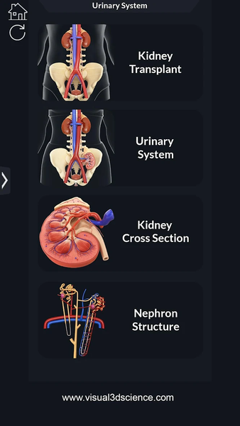 My Urinary System - عکس برنامه موبایلی اندروید