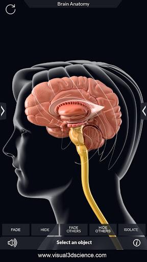 My Brain Anatomy - Image screenshot of android app