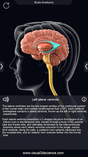 My Brain Anatomy - Image screenshot of android app