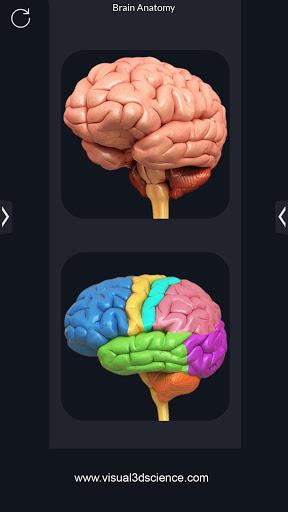 Brain Anatomy Pro. - عکس برنامه موبایلی اندروید