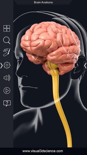 Brain Anatomy Pro. - Image screenshot of android app