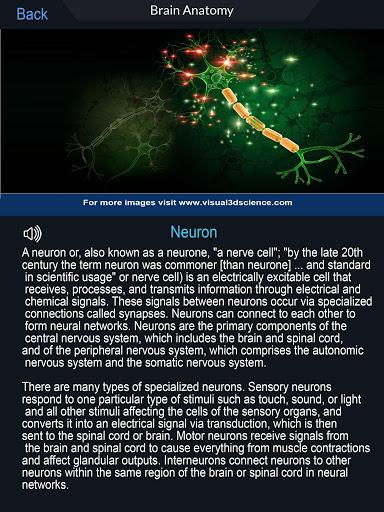 Brain Anatomy Pro. - Image screenshot of android app