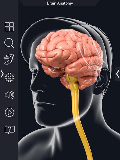 Brain Anatomy Pro. - Image screenshot of android app