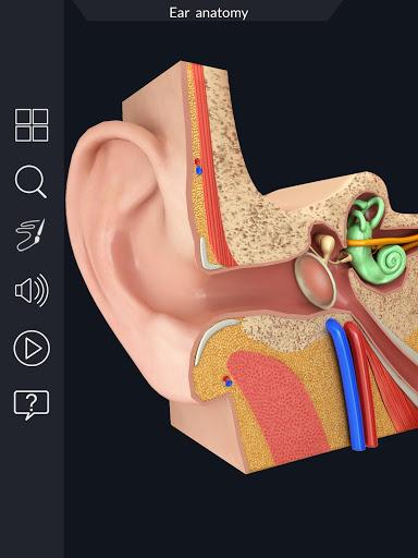 Ear Anatomy Pro. - عکس برنامه موبایلی اندروید