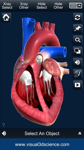 My Heart Anatomy - عکس برنامه موبایلی اندروید