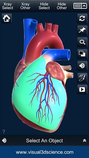 My Heart Anatomy - عکس برنامه موبایلی اندروید