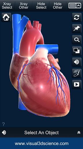 My Heart Anatomy - Image screenshot of android app