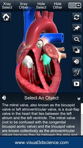 My Heart Anatomy - عکس برنامه موبایلی اندروید