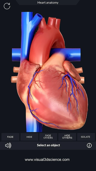 Heart Anatomy Pro. - عکس برنامه موبایلی اندروید