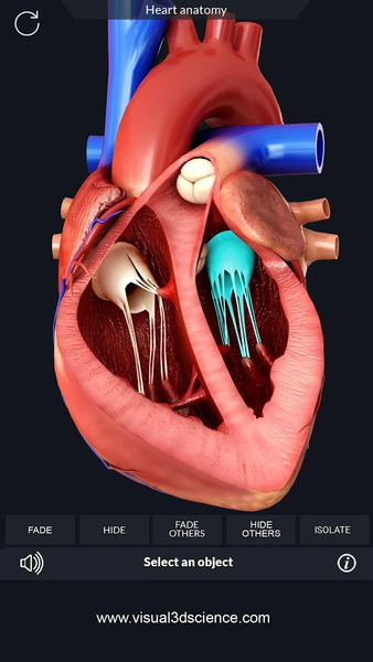 Heart Anatomy Pro. - Image screenshot of android app