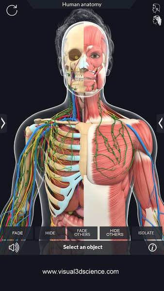 Human Anatomy - عکس برنامه موبایلی اندروید