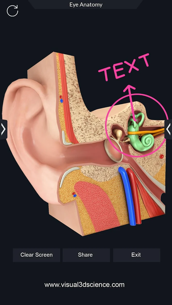 Human Anatomy - عکس برنامه موبایلی اندروید