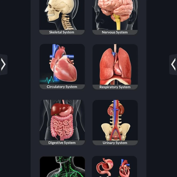 Human Anatomy - عکس برنامه موبایلی اندروید