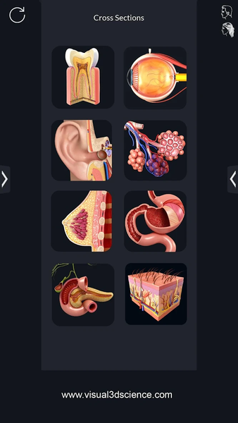 Human Anatomy - عکس برنامه موبایلی اندروید