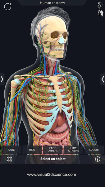 Human Anatomy - عکس برنامه موبایلی اندروید