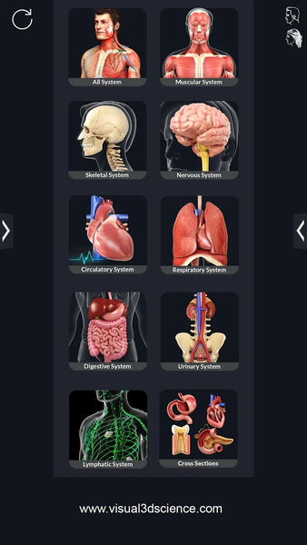 Human Anatomy - Image screenshot of android app